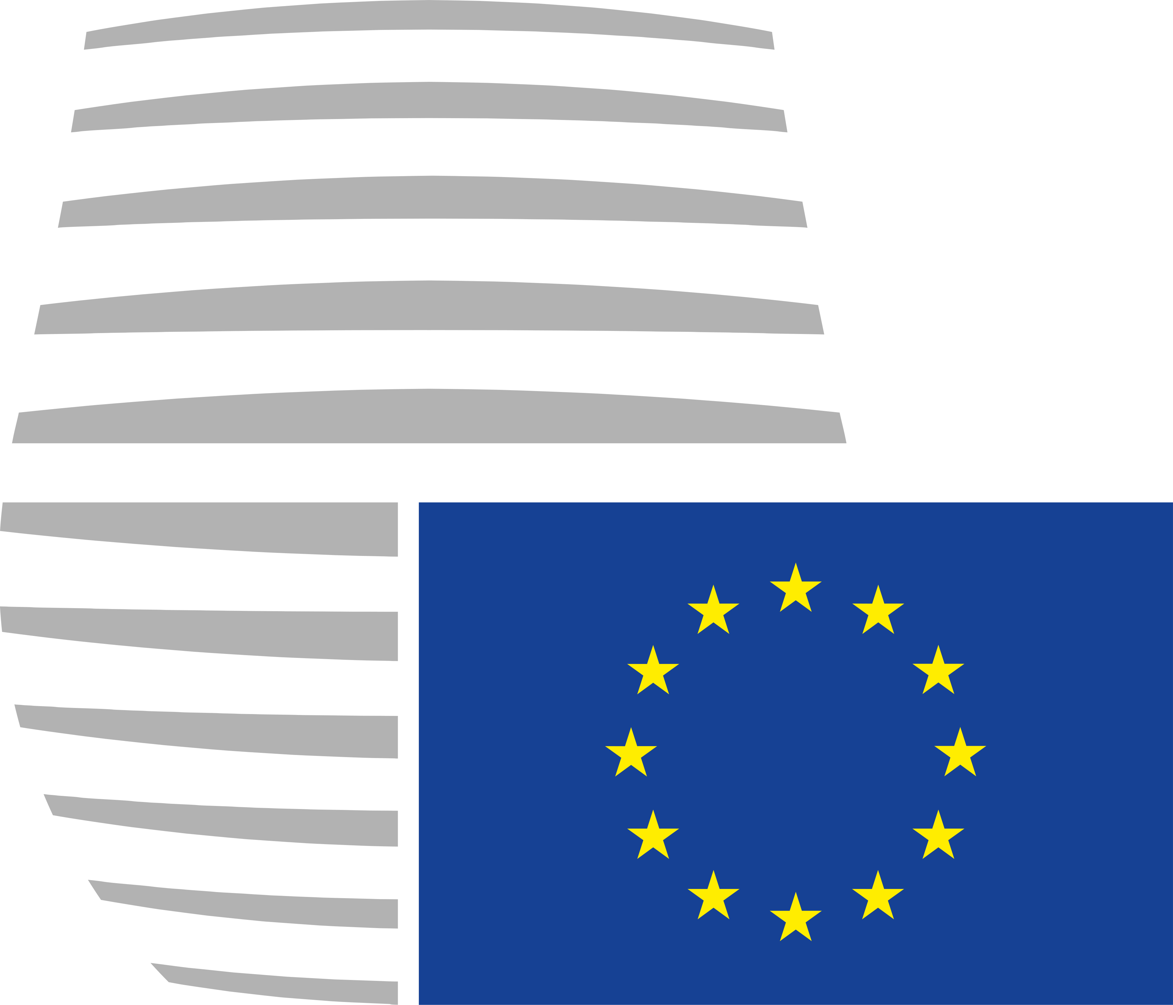 Council of the European Union